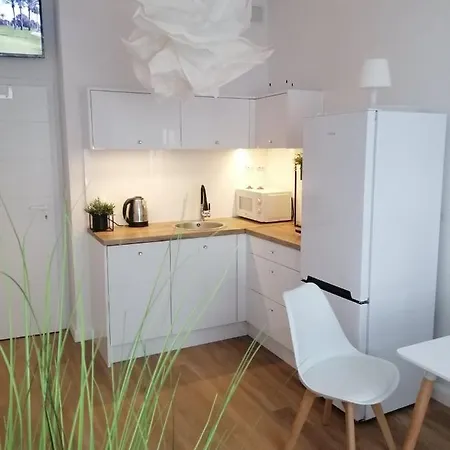 Goodenergy - Stare Miasto, Oldtown, Altstadt Apartment Elblag